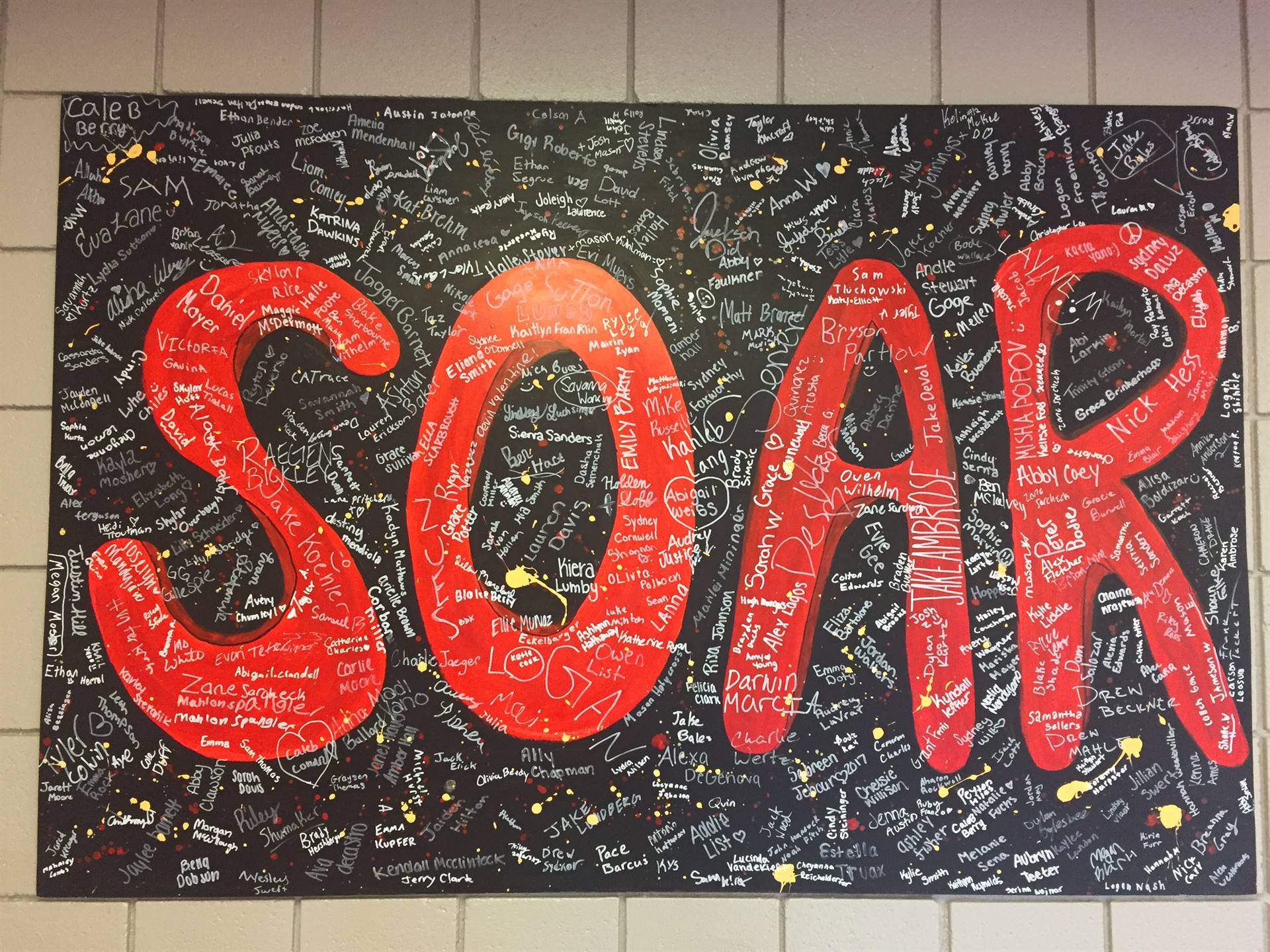 BWMS_SOAR