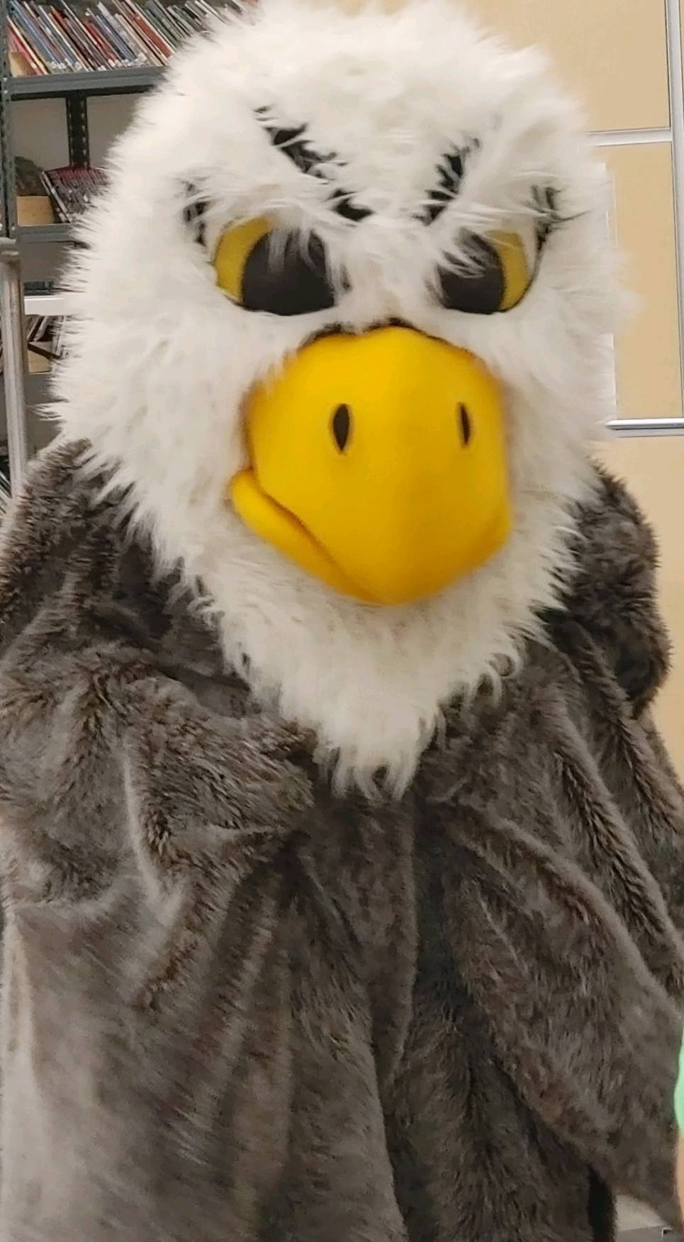 Eagle 