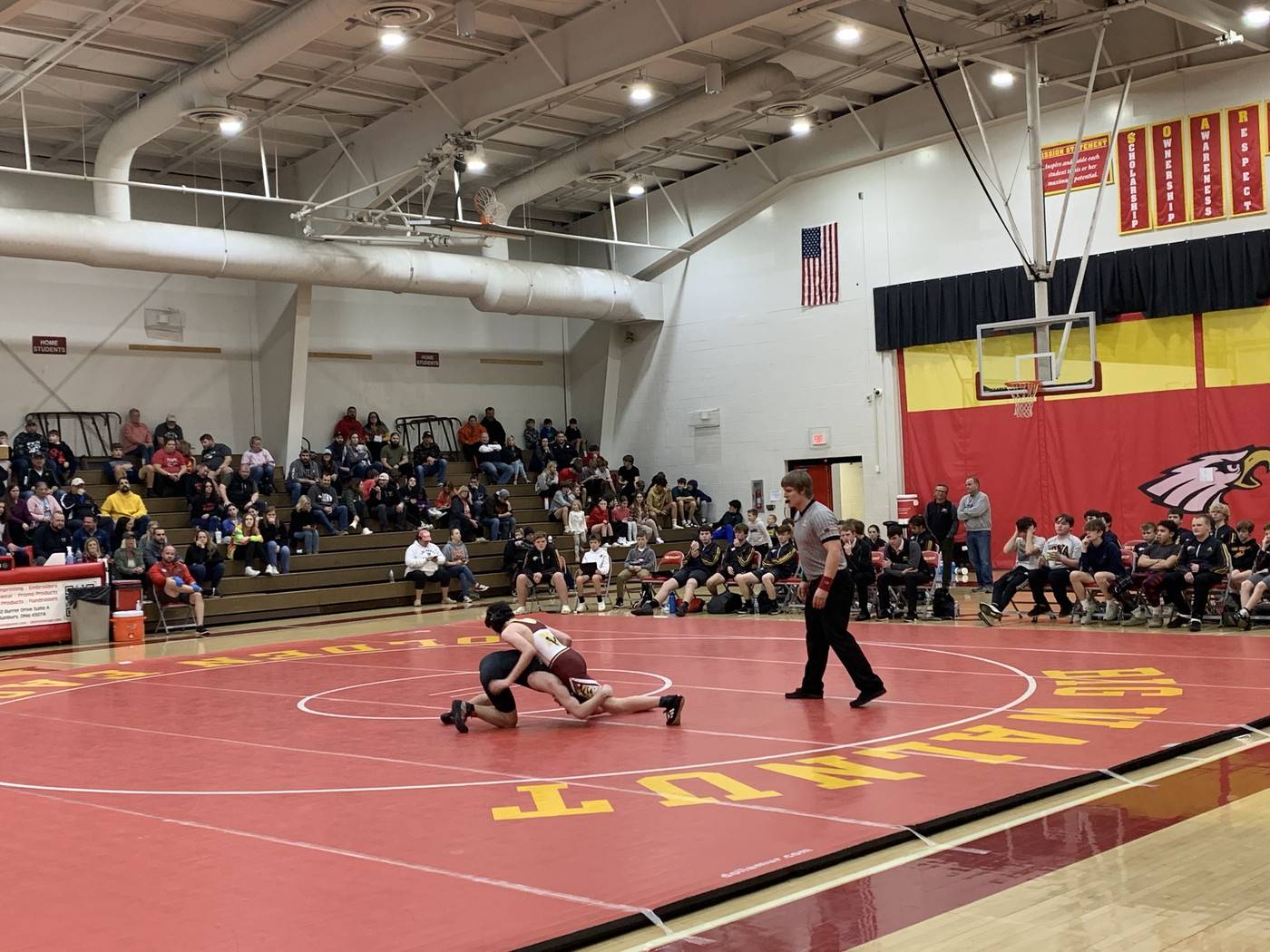 Wrestling in Action